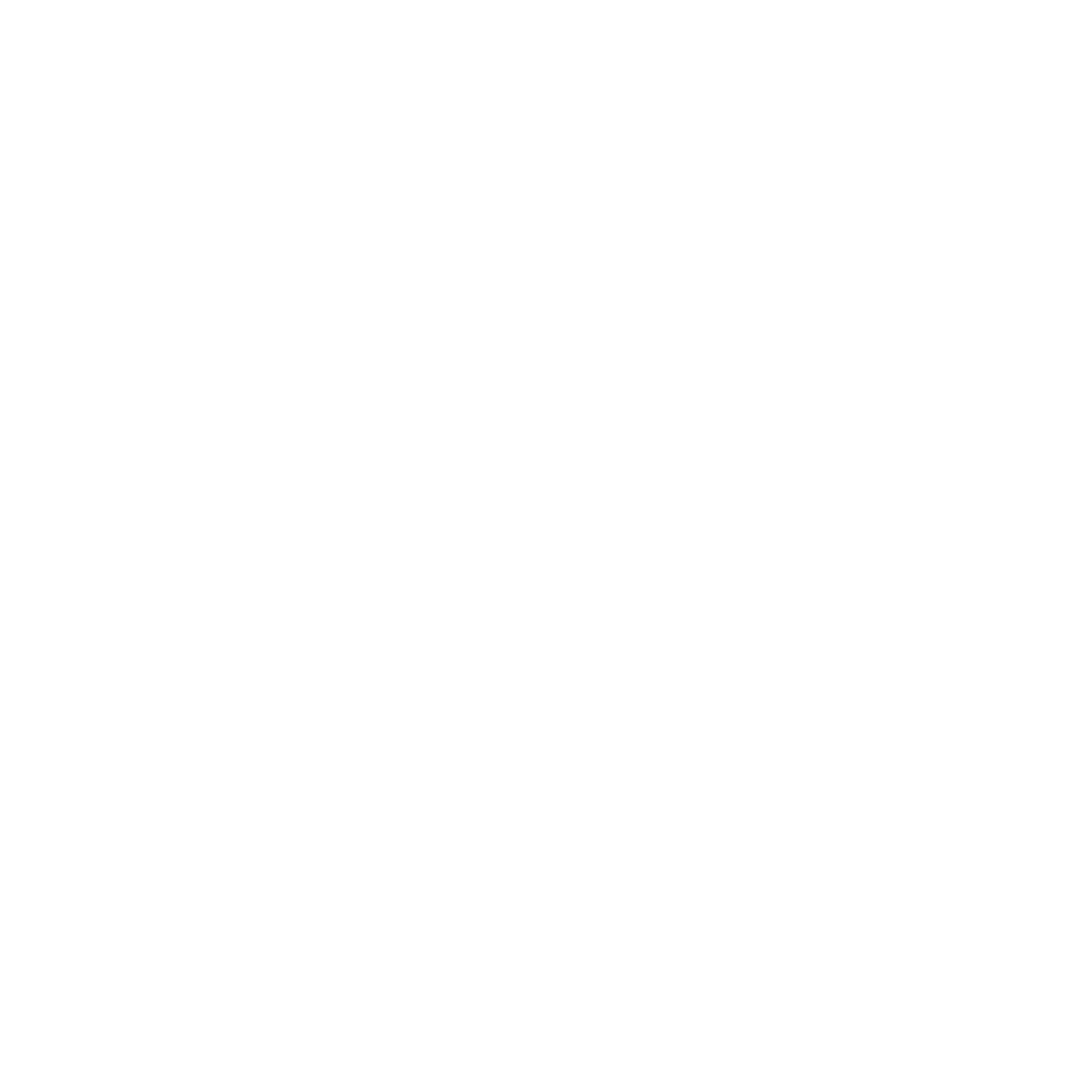 Project